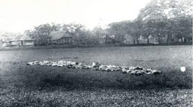 Volgens het verslag achterop deze foto, haalde de eenheid van Vermeulen na het executeren van dertig mensen, nog eens 24 man, die in een kolonne van twee naar het plein werden gebracht. Zij moesten knielen naast de lijken en werden met een stengun doodgeschoten. Foto: NIMH.