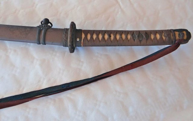 Japans zwaard, Javea, Spanje.