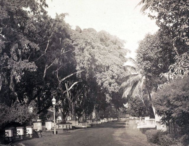 Woodbury & Page, ‘Gang Scott in Weltevreden te Batavia [richting Tanah Abang in het westen]‘, uit: ‘Vues de Java Photographies par Woodbury & Page Batavia’.