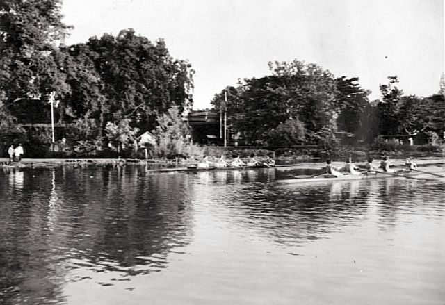 Vrouwen, vier met stuur