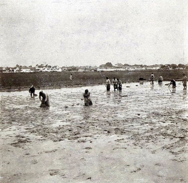 Sawaän Krangan Soerabaja