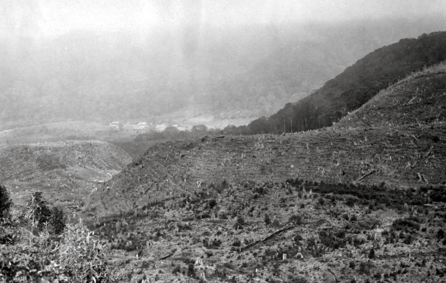 Het grote ravijn, dat uitloopt op Soember Brantas, ontgonnen.