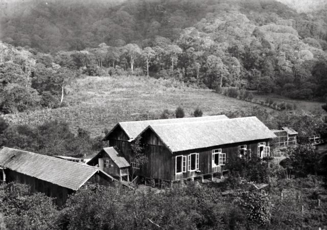 (zonder onderschrift)