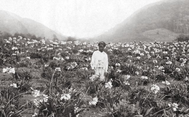 tm823_soember-brantas_2