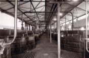 Fermentatielokaal